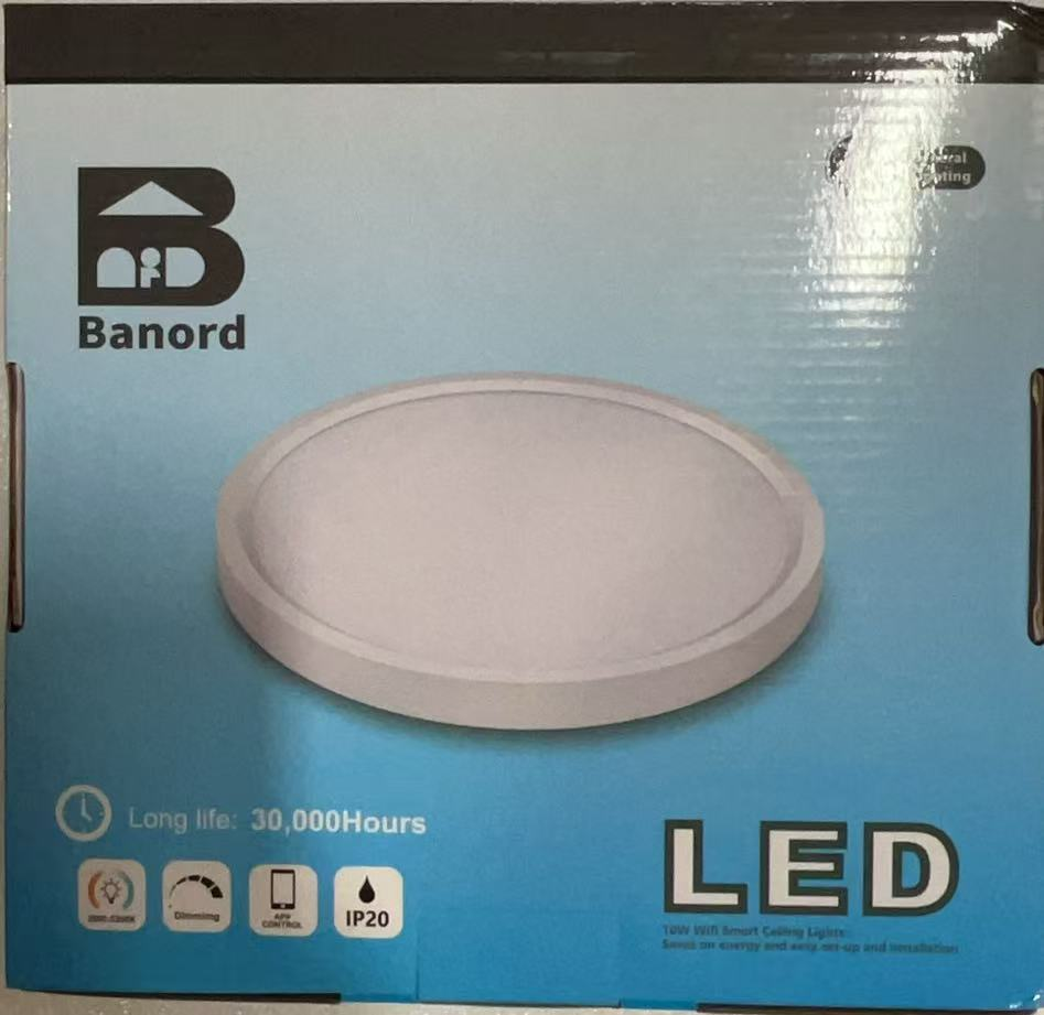Flush Mount Ceiling Light 8 Inch 10W