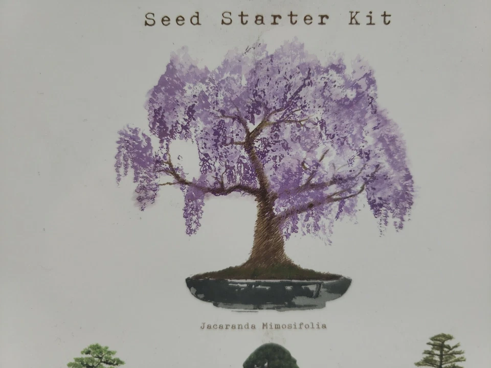 Nature's Blossom Bonsai Garden Seed Starter Kit - 4 Types of Bonsai READ DESC