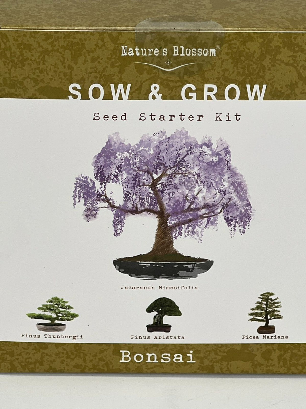 Nature's Blossom Bonsai Garden Seed Starter Kit - 4 Types of Bonsai READ DESC
