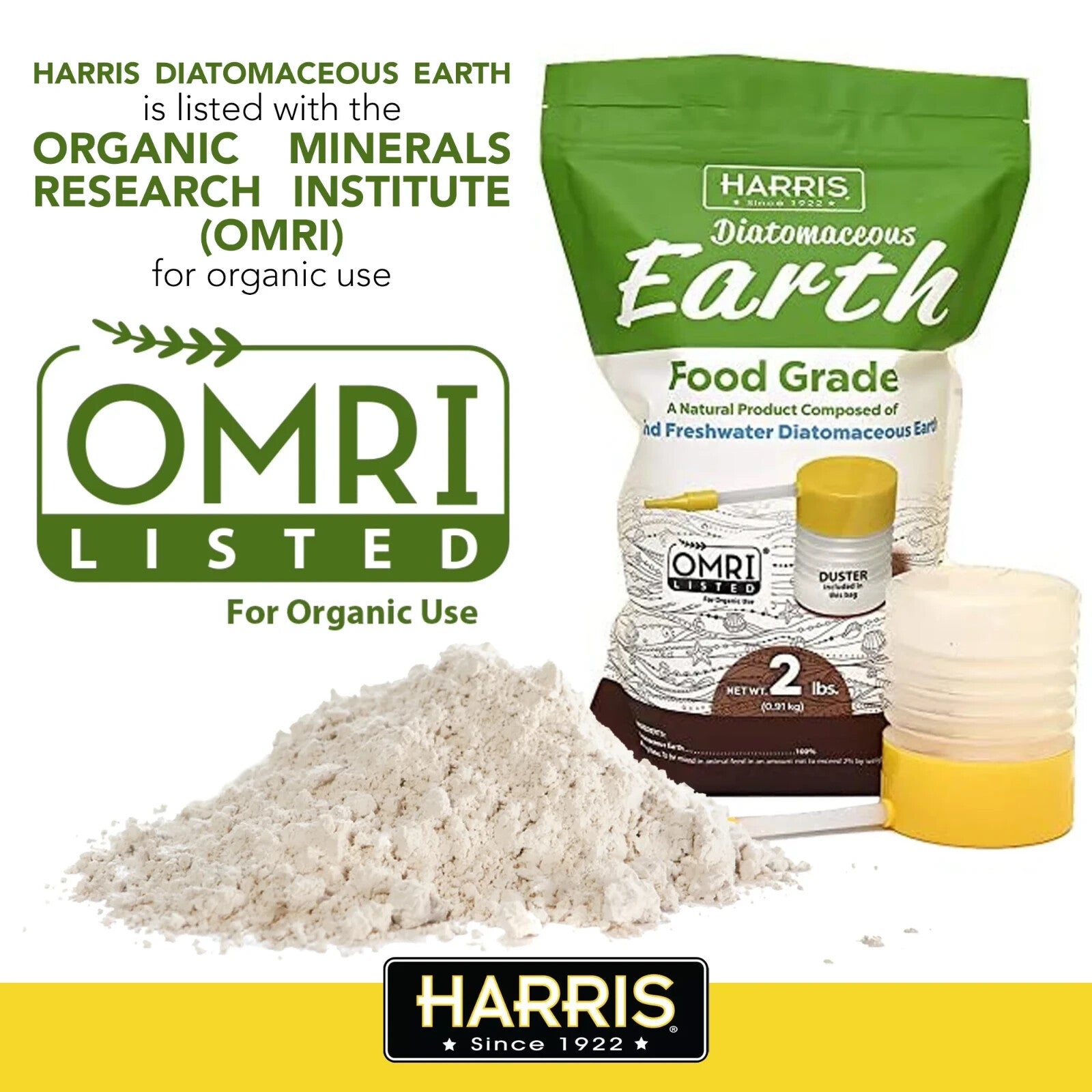Harris Ant