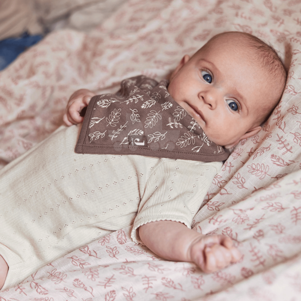 2-Pack Baby Bibs – Chestnut, 100% Cotton Outer – 14.2” x 9”, Button Back
