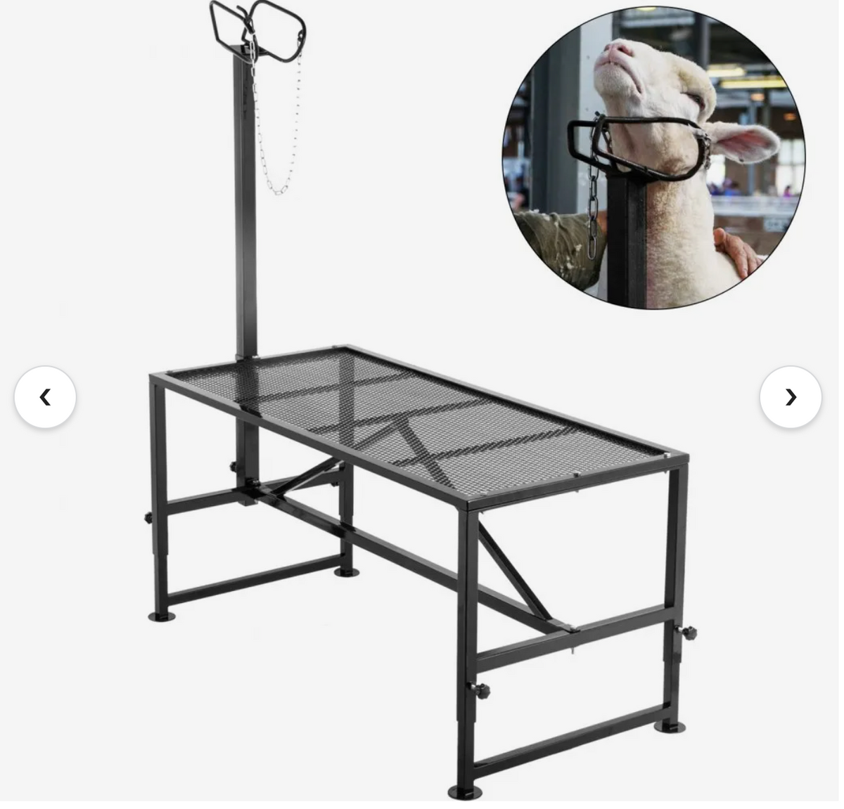 Animal Cutting Stand Vevor 51x23" Metal Base for Sheep Goats
