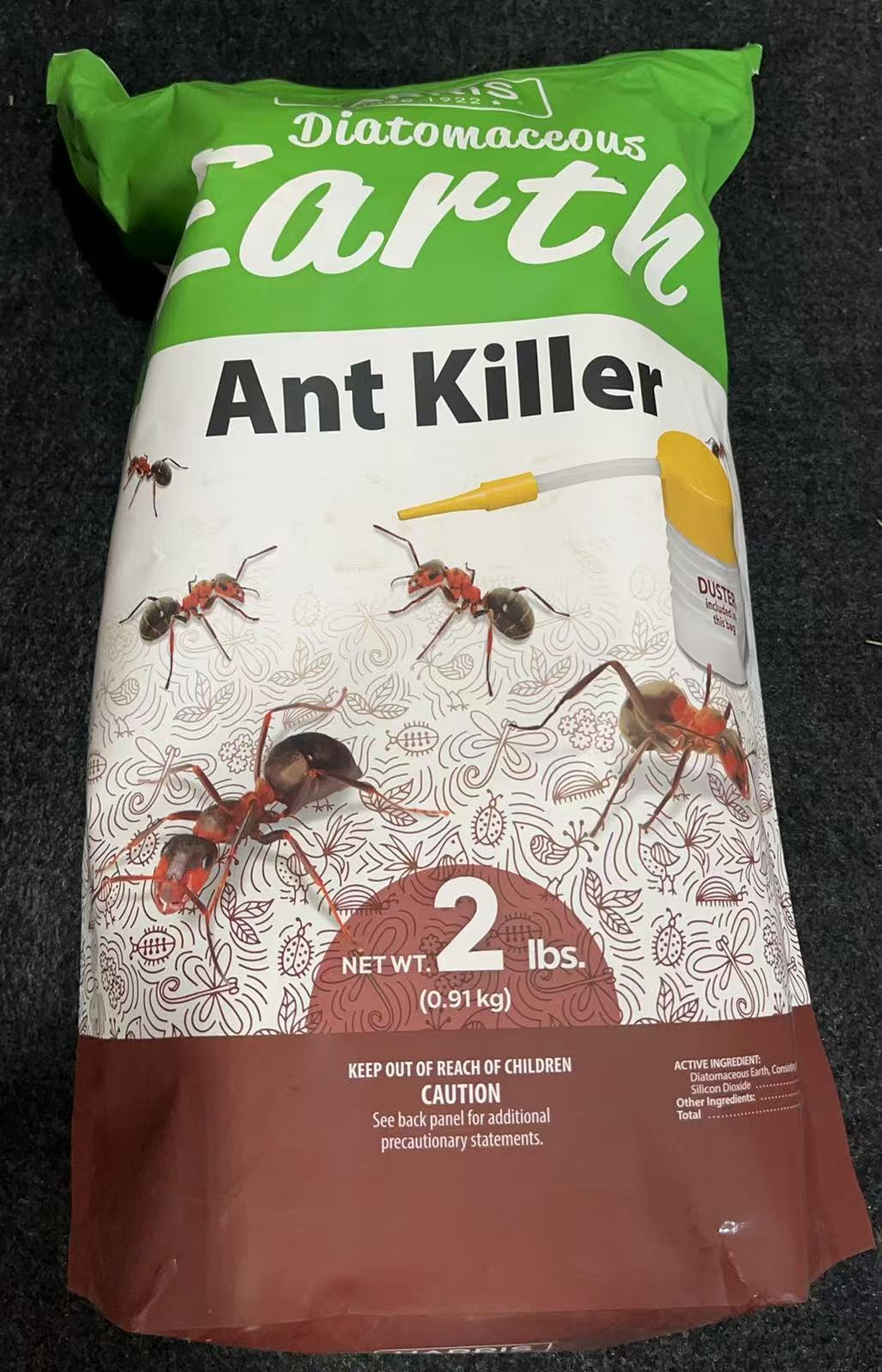 Harris Ant