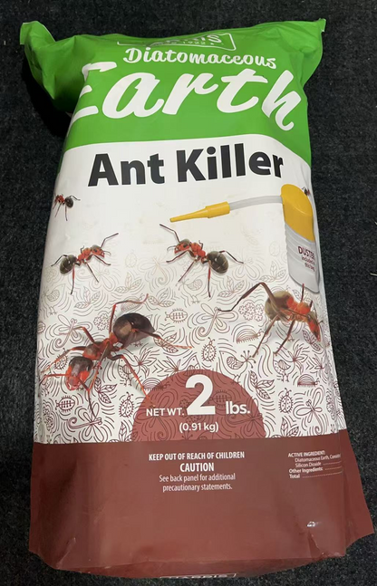 Harris Ant