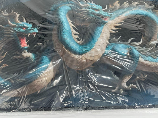 Dragon themed rug.