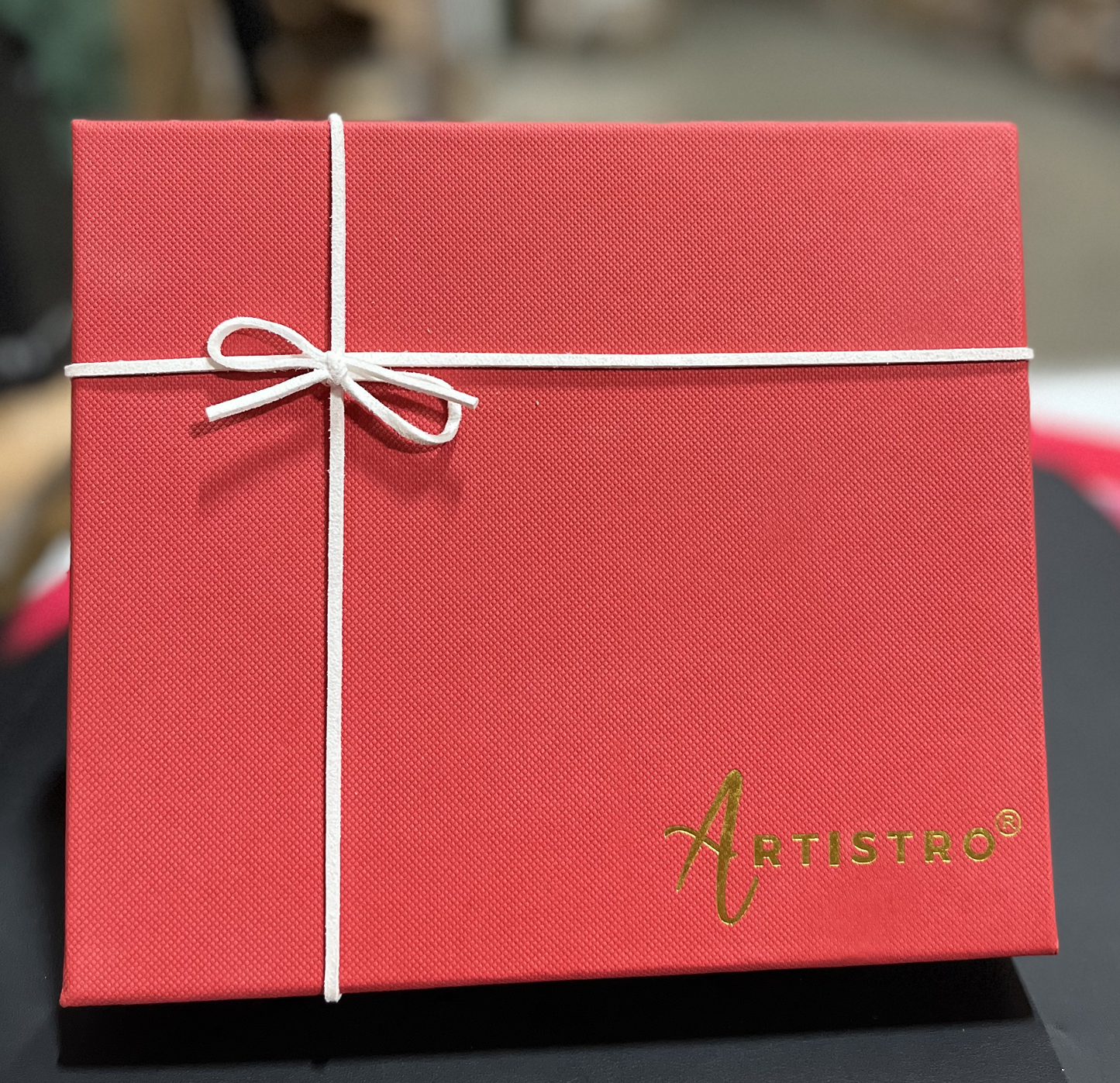 ARTISTRO Paint Pens GIFT  Set –10 Colors with Tote Bag, Pen Case & 2 Art Stones