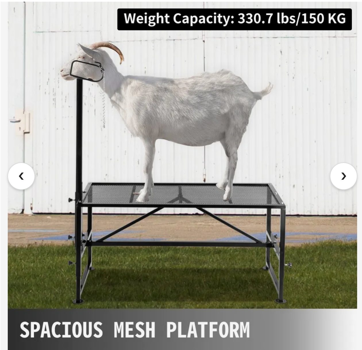 Animal Cutting Stand Vevor 51x23" Metal Base for Sheep Goats