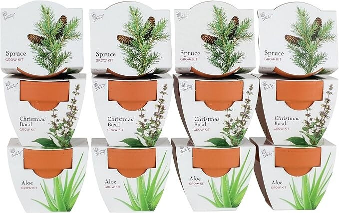BUZZY Seeds Terracotta Mini Grow Pots | Herb, Plant, Flower Starter Kit for Kids
