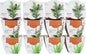 BUZZY Seeds Terracotta Mini Grow Pots | Herb, Plant, Flower Starter Kit for Kids