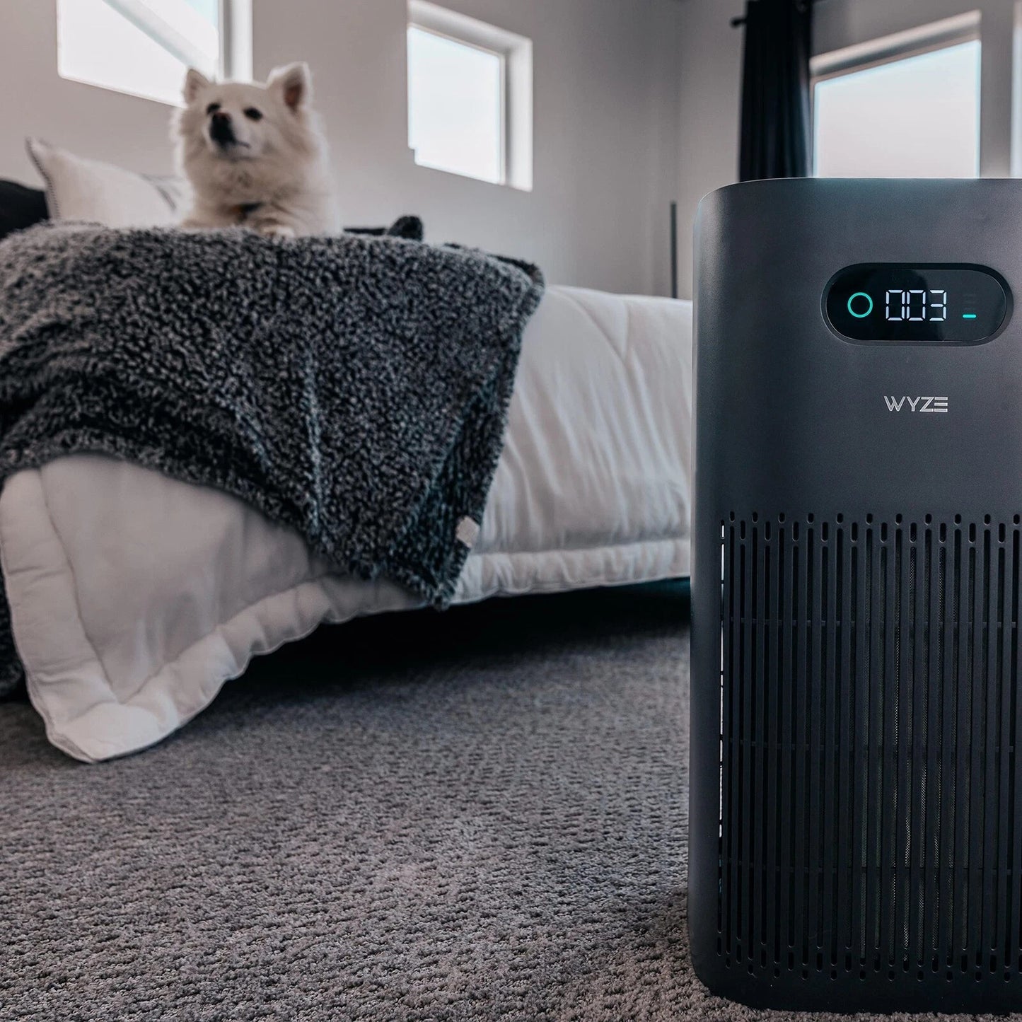 Smart Air Purifier，Hepa Filtration，Black.