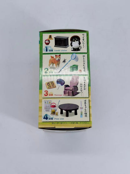 Re-Ment Petit Sample Series Diary with my memories 8 days in the countryside