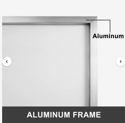 12 aluminum screen printing frames (20" x 24") with 160 mesh (64T)