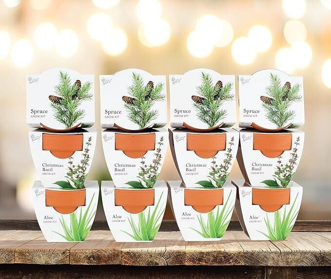 BUZZY Seeds Terracotta Mini Grow Pots | Herb, Plant, Flower Starter Kit for Kids