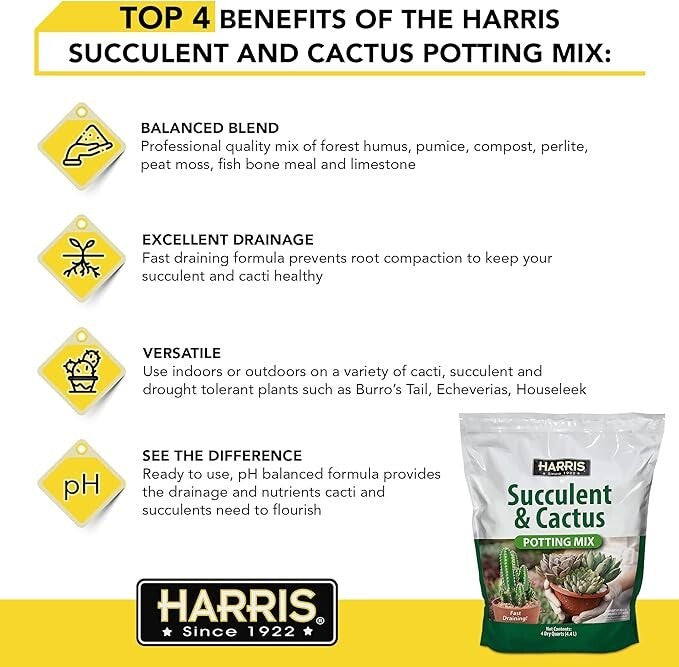 Harris Premium Succulent and Cactus Potting Soil Mix, Fast