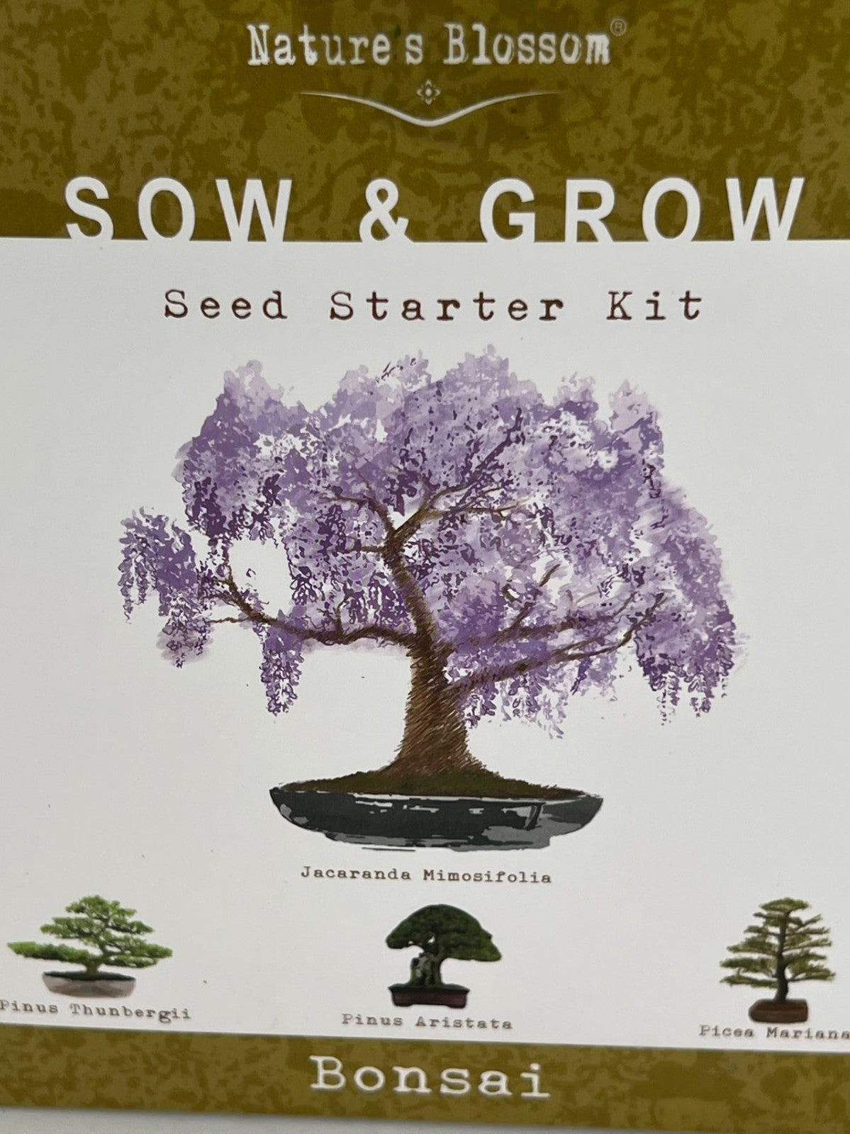 Nature's Blossom Bonsai Garden Seed Starter Kit - 4 Types of Bonsai READ DESC