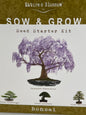 Nature's Blossom Bonsai Garden Seed Starter Kit - 4 Types of Bonsai READ DESC