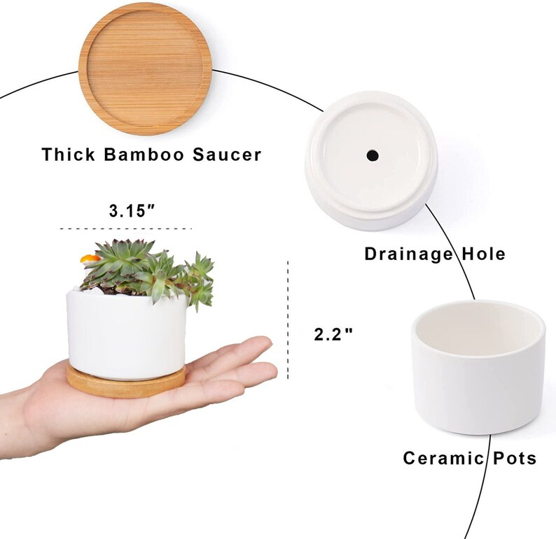 3pcs Gardener with Custom Nickname Plant Pot