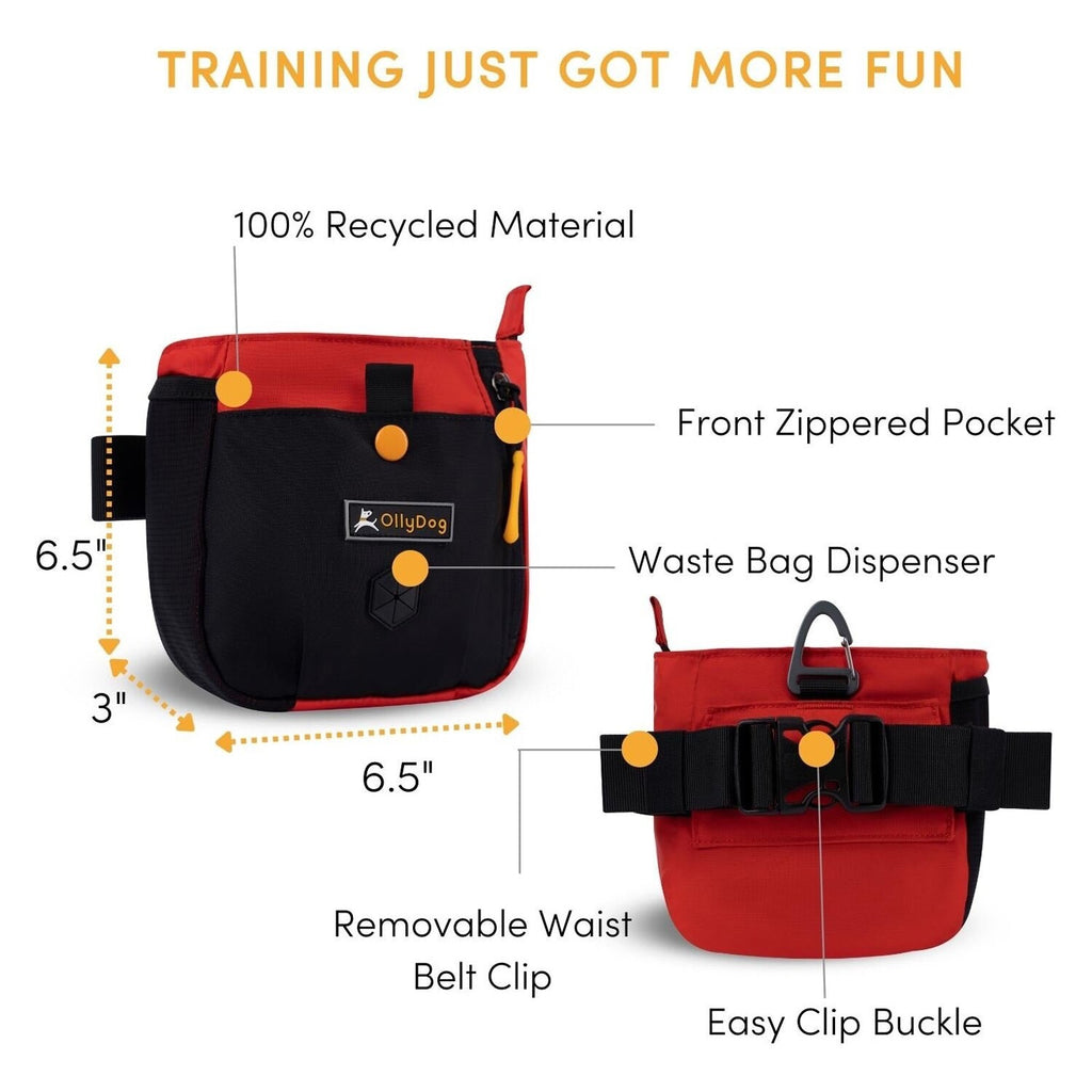 OllyDog® 1050-1100-502 - 6.5" x 6.5" x 3.5" Fiesta Backcountry Day Bag