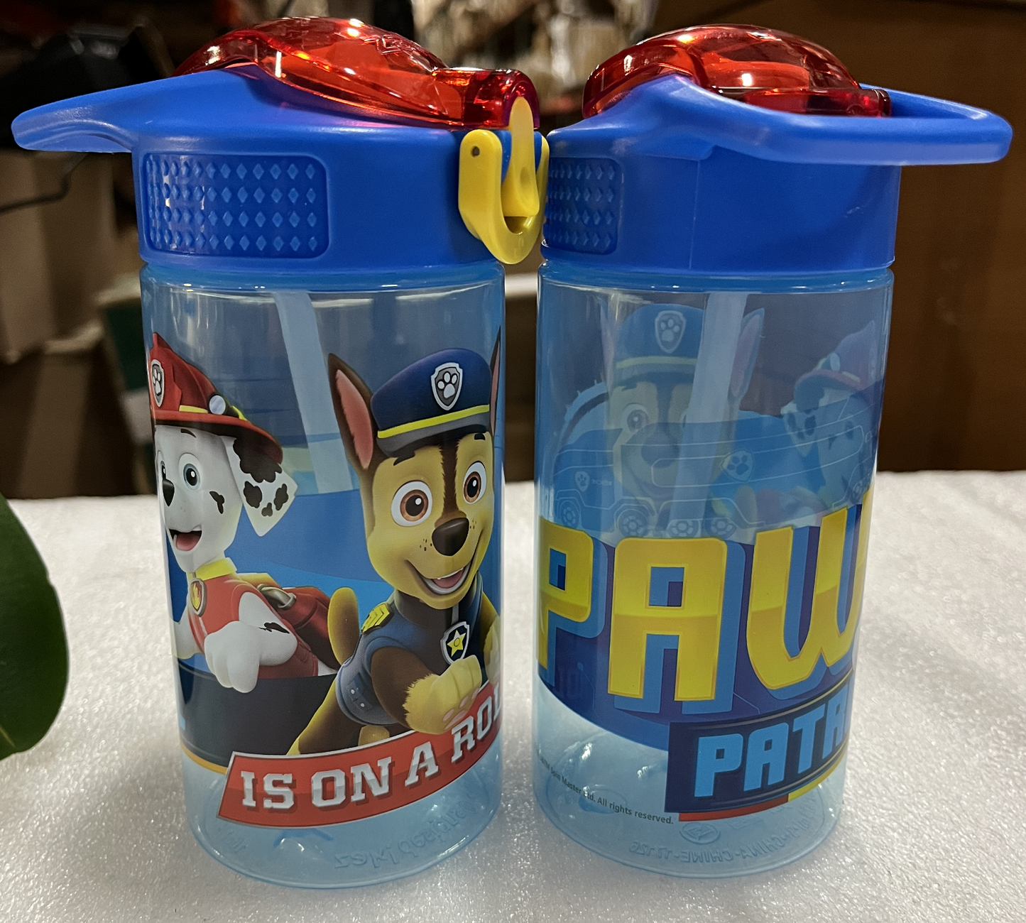 PAW Patrol Kids Water Bottles, 2-Pack