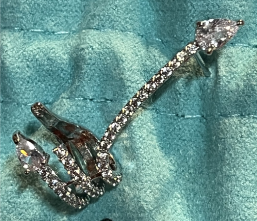 Shiny Zirconia Tassel Party Stud Earring&Single left sterling silver snake