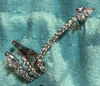 Shiny Zirconia Tassel Party Stud Earring&Single left sterling silver snake