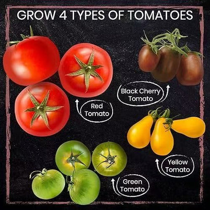 Tomato Garden Kit – 4 Seed Types, Pots & Markers