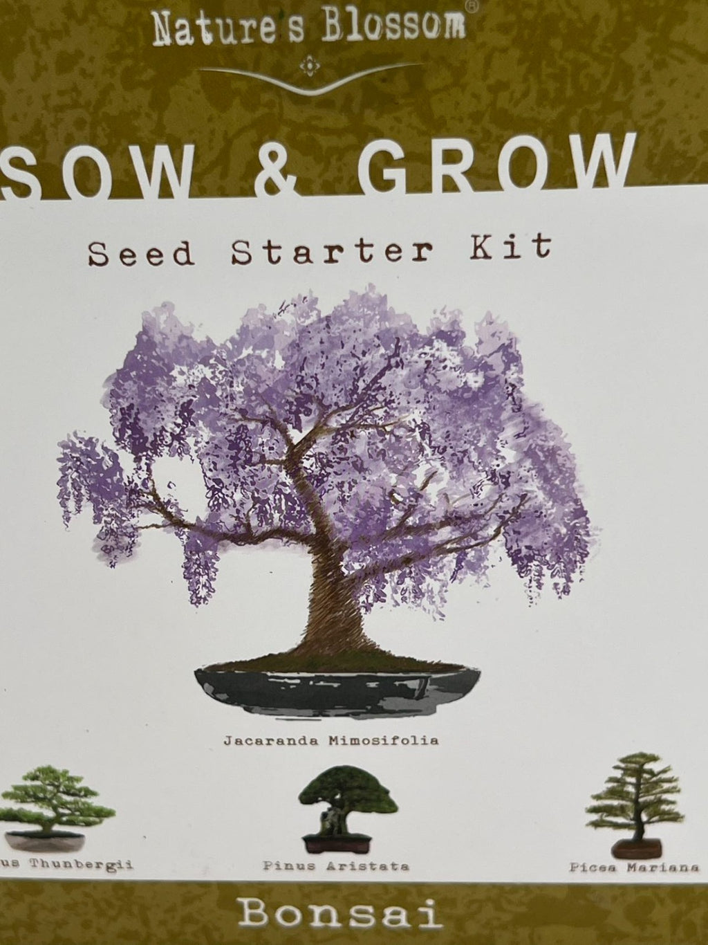 Nature's Blossom Bonsai Garden Seed Starter Kit - 4 Types of Bonsai READ DESC