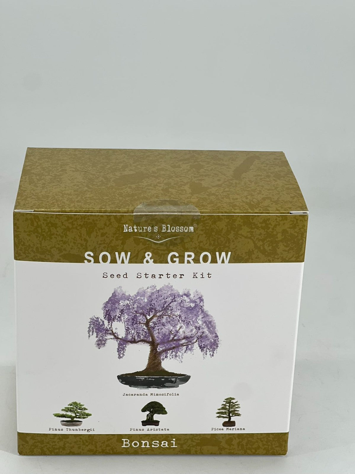 Nature's Blossom Bonsai Garden Seed Starter Kit - 4 Types of Bonsai READ DESC
