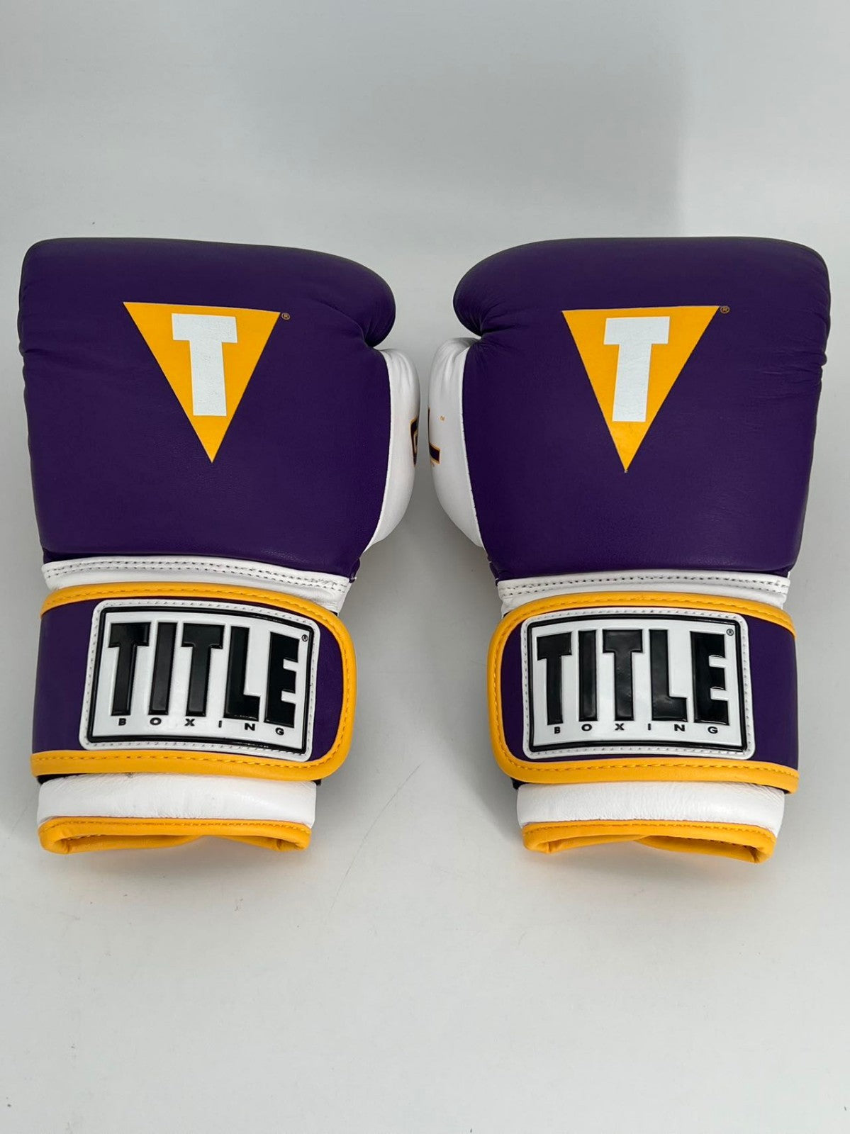 Title Boxing Gel World V2T Bag Gloves, Purple XL