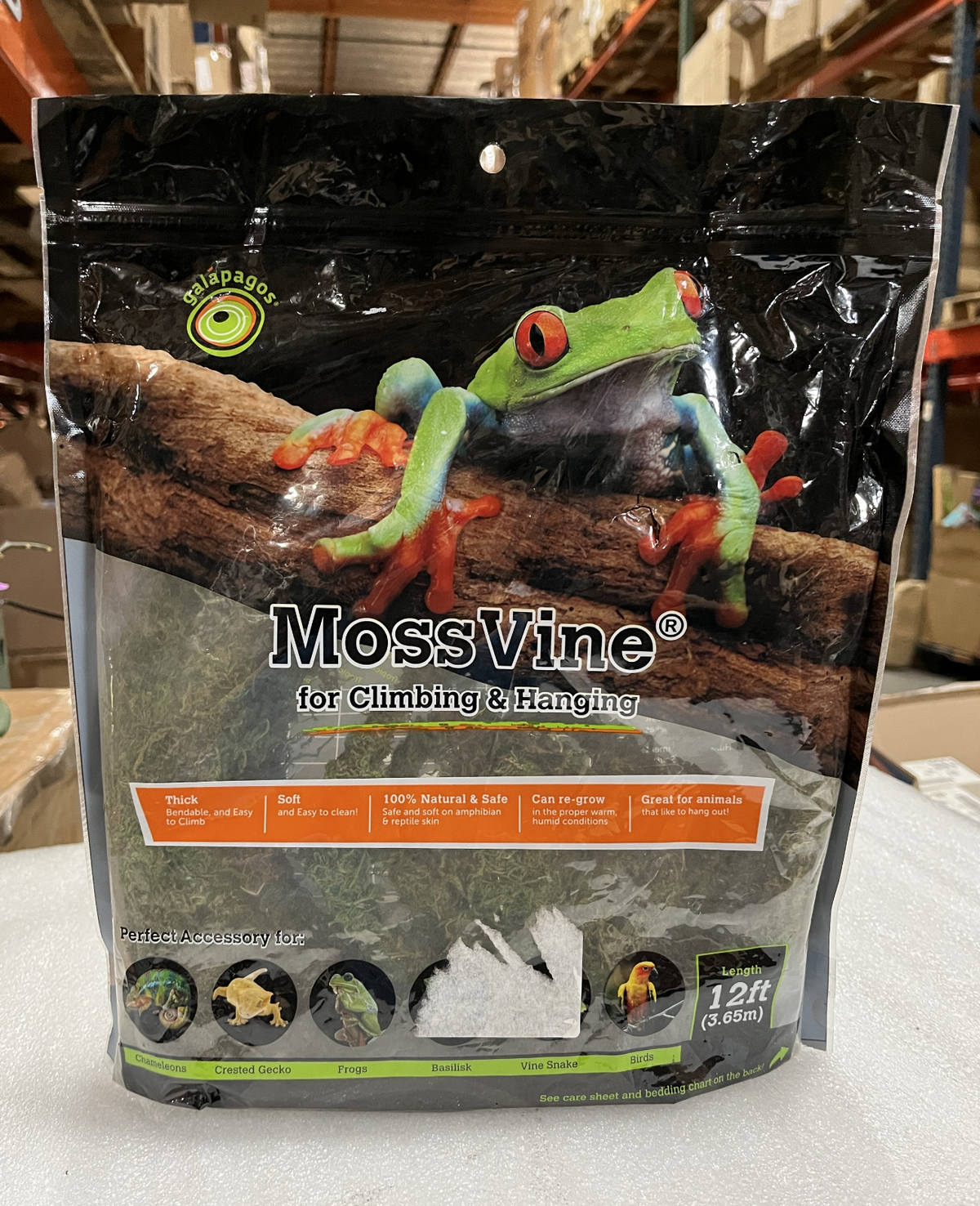 MossVine for Hanging & Climbing Fresh Green, 1 Each/12 ft